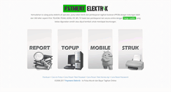 Desktop Screenshot of paymentelektrik.com